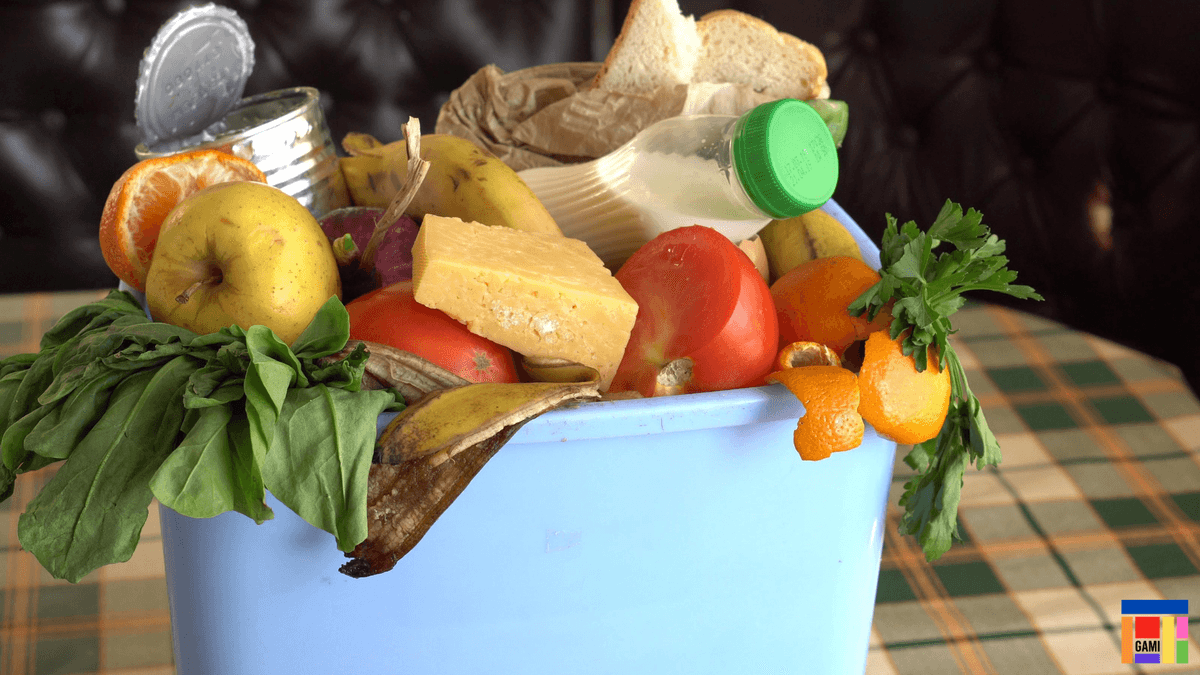 Food Waste Issue